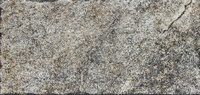 Atica Greyed /15.4x31 см/