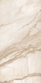 Supreme Golden Calacatta