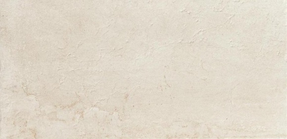 Trend Bone 30x60см