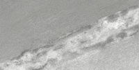 Scoglio Grigio MAT