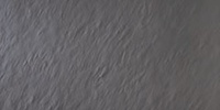 Project Gris