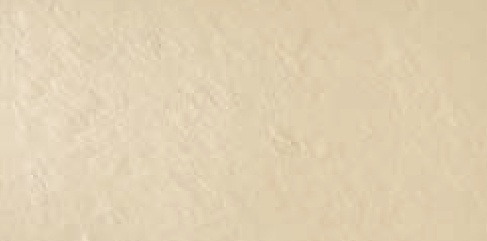 Project Beige
